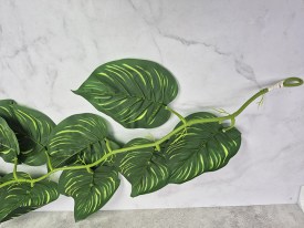 Guia hojas grandes verdes oscuro